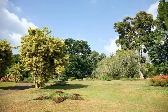 Royal Botanic Gardens, Peradeniya