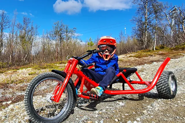 Mountain Cart Dagali Fjellpark