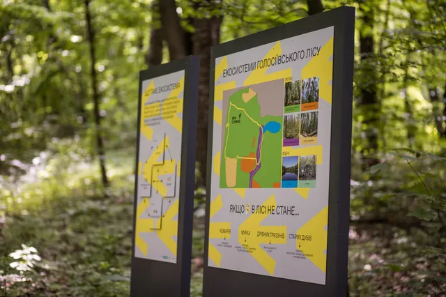 Екостежка в Голосіївському парку