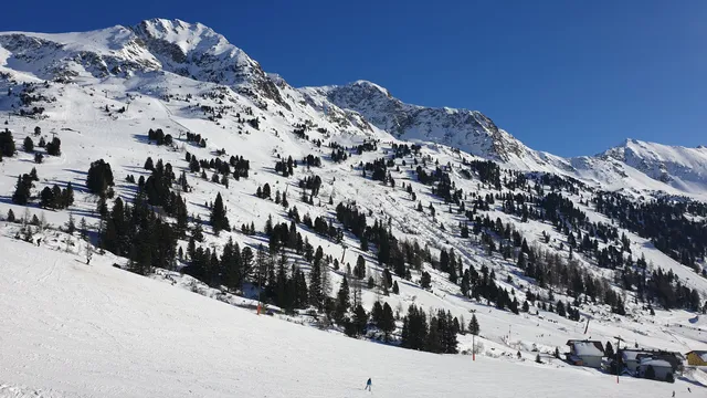 Hans Gruber G.m.b.H.