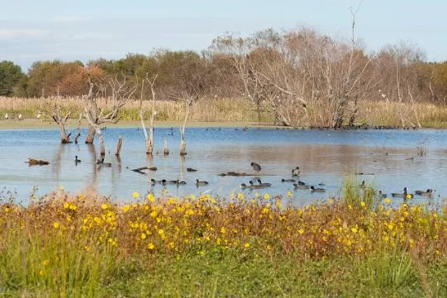 Harris Neck National Wildlife Refuge