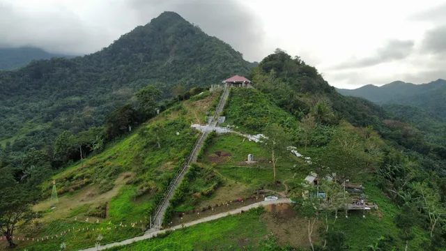 St Ambrose Biodiversity Farm