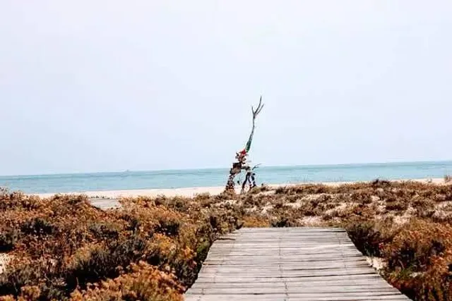 Praia Da Ilha Deserta