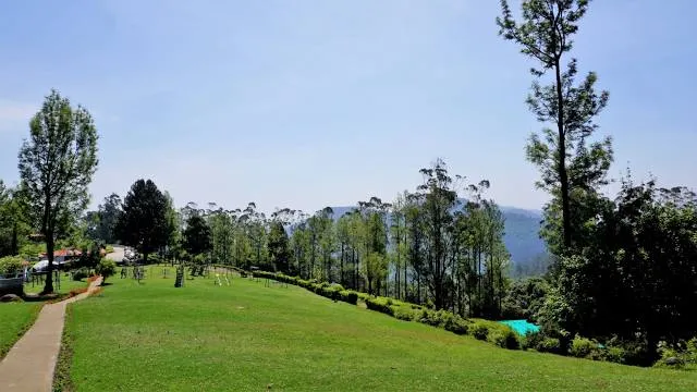 Tea Park