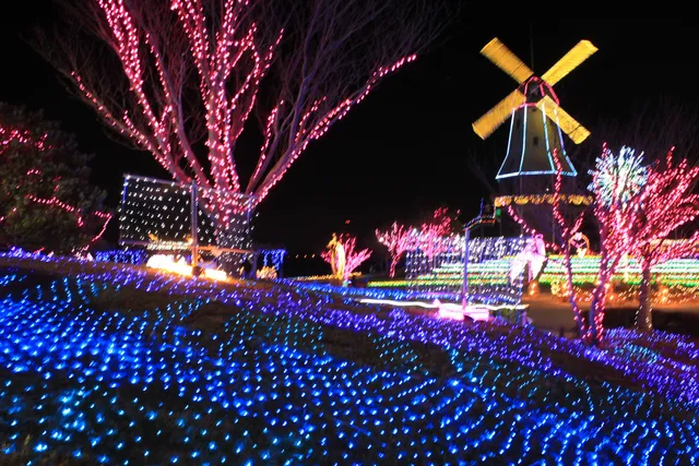 Water 5 Cherry Blossoms Illumination