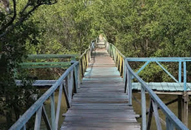Mangrove Forests Kupang