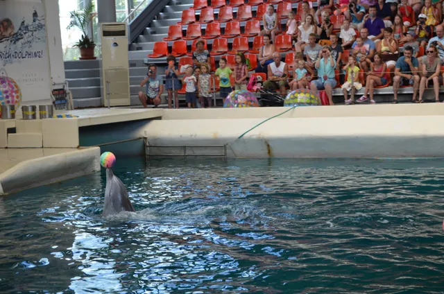 Dolphinarium Varna