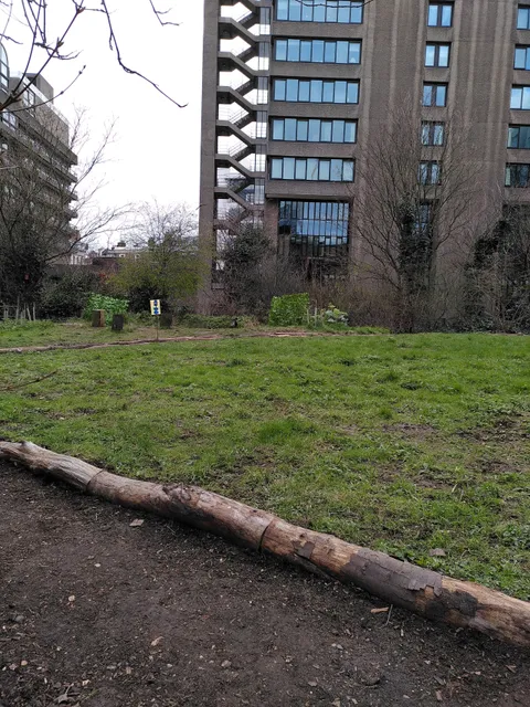 Barbican Wildlife Garden