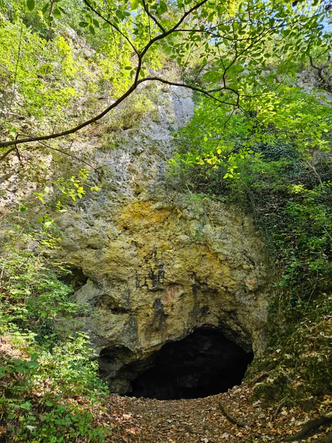 Barnberghöhle