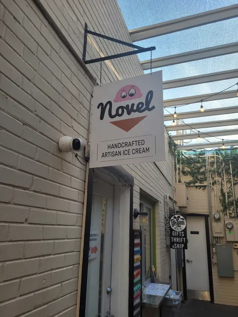 Novel Ice Cream