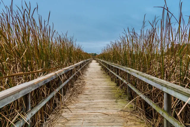Lynde Shores Conservation Area