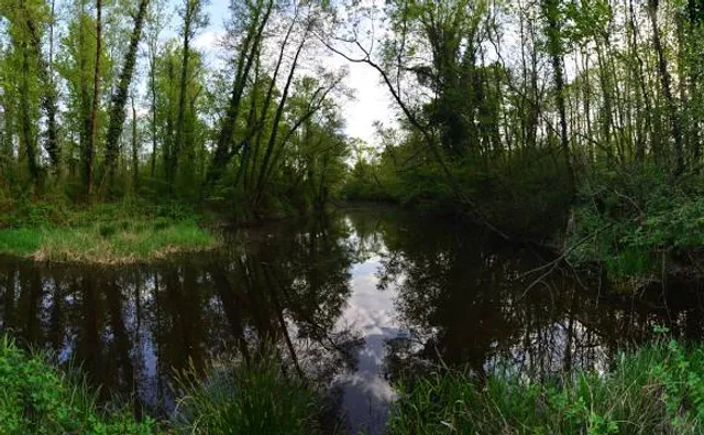 Parco Naturale delle Lame del Sesia