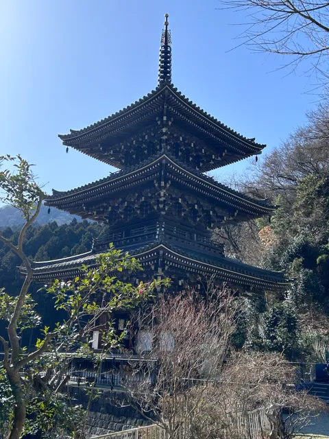 Tendaishu Mutsuneyama Johotsugan Temple