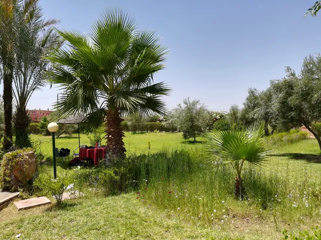 Les Palais BaB Atlas