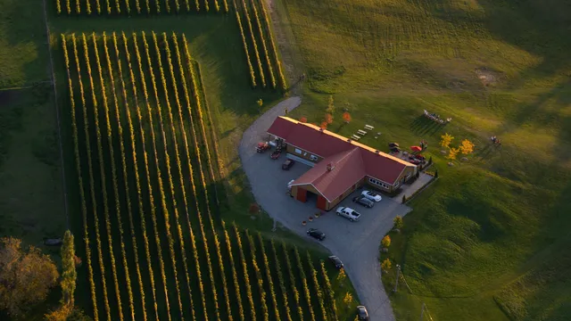 The Valleys of Wadleigh