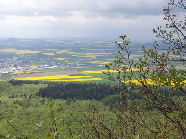 Traumpfad Pellenzer Seepfad