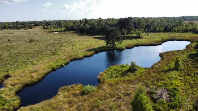 De Hamert (Nationaal Park)