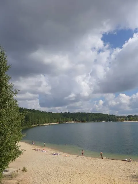 Forest Lake Beach