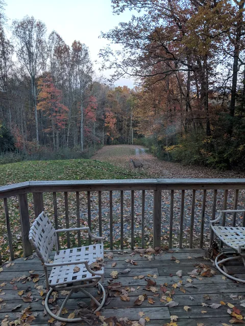 Mountain Escape Chalet