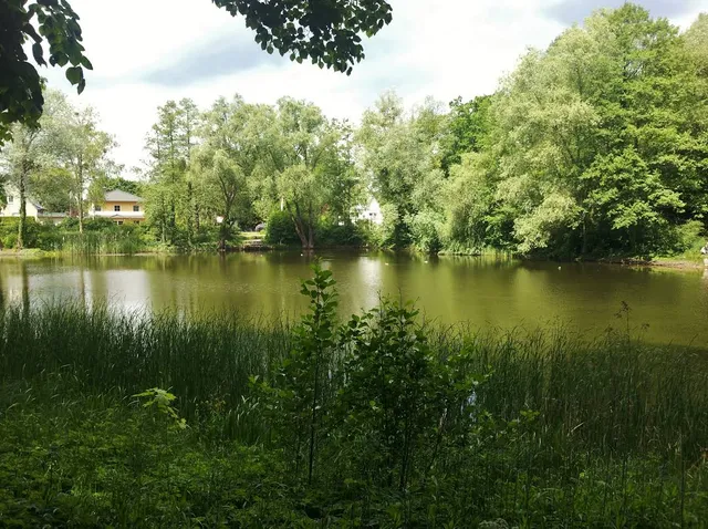 Lindenweiher