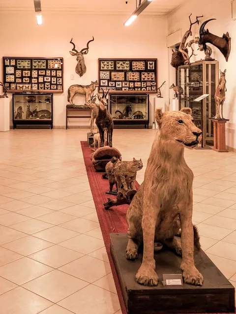 Museo Missionario Cinese e di Storia Naturale