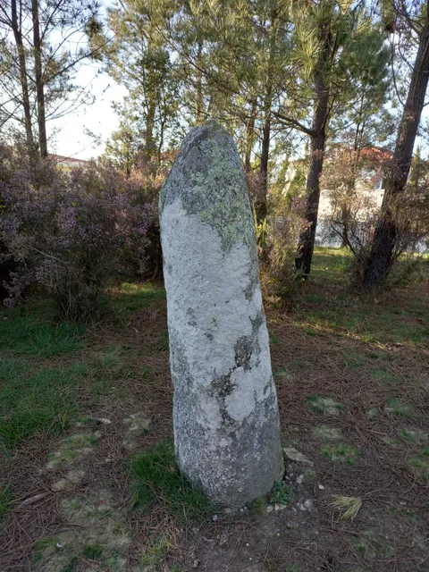 Menhir São Paio de Antas