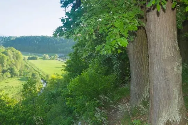 Skałka w Rezerwacie Skały Kmity