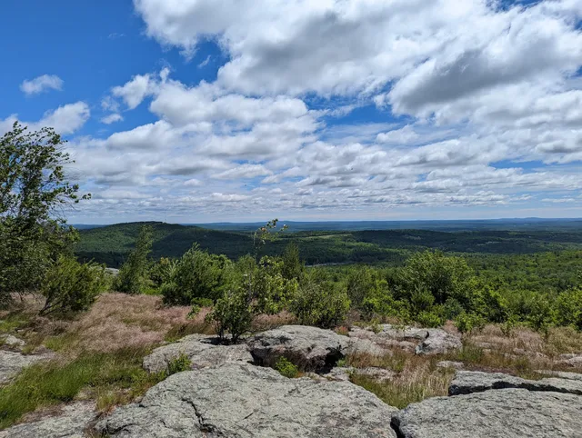 Blue Job Mountain State Forest