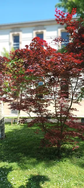 photo-1