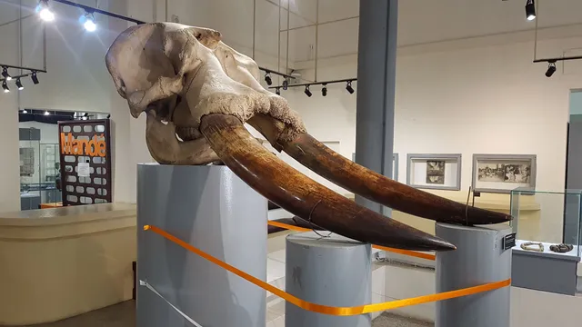 Musée des Civilisations de Côte d'Ivoire