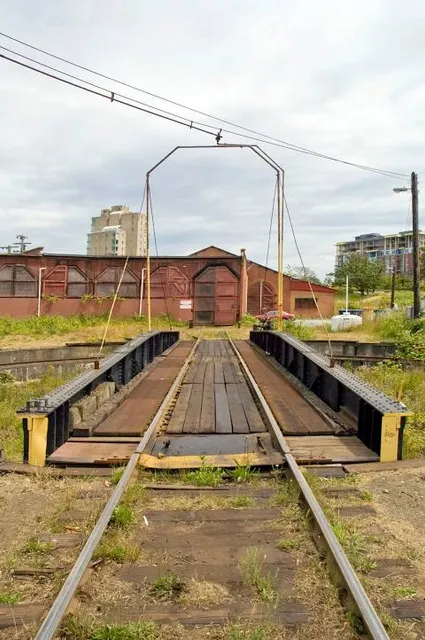 photo-1