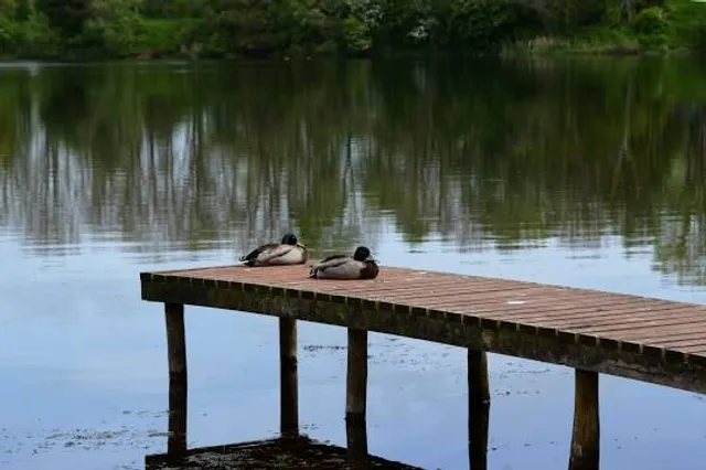 Longland Lake Country Park