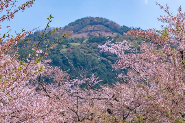 Kanzaki Ryokuchi Park