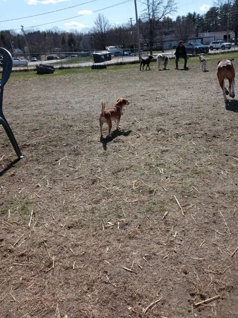 Robin's Garden & Dog Park