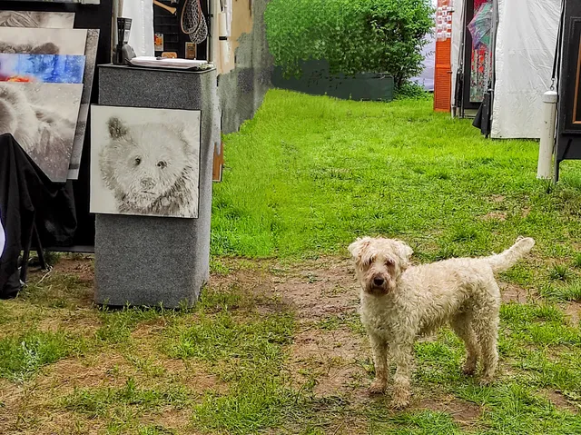 Park Hill Arts Festival