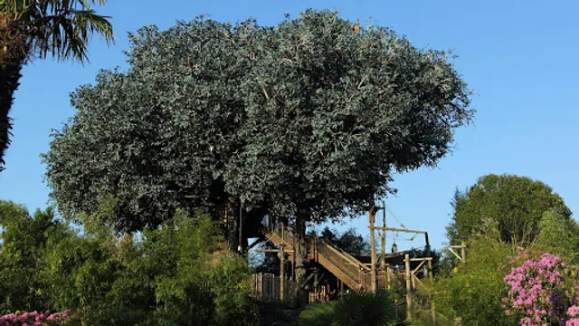 Swiss Family Treehouse 1992