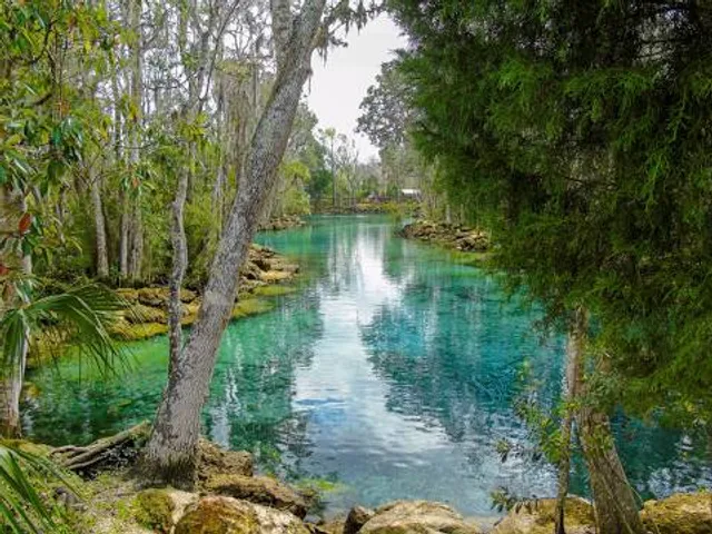 Crystal River National Wildlife Refuge