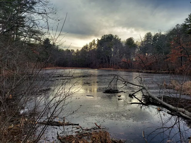 Hapgood Wright Town Forest - Fairyland Pond Parking