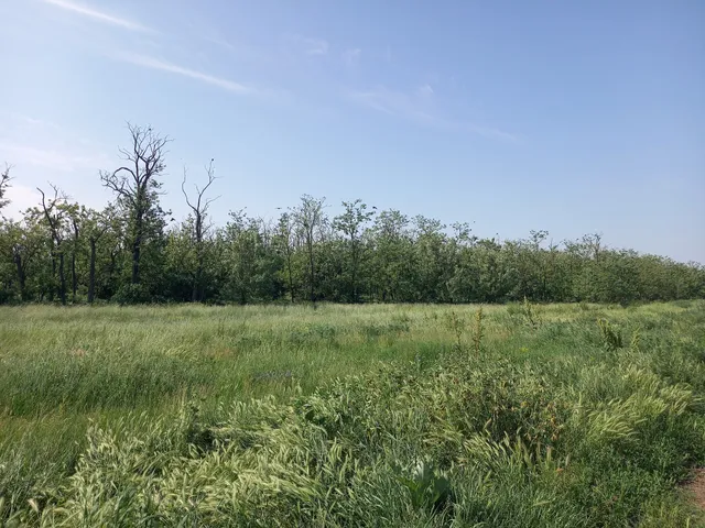 Szálkahalmi tanösvény Parkoló