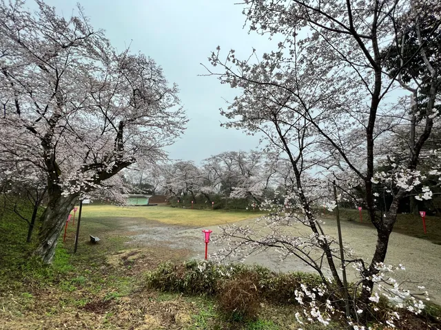 Ōtawara Castle Ruins