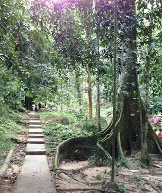 Bukit Mertajam Recreational Forest