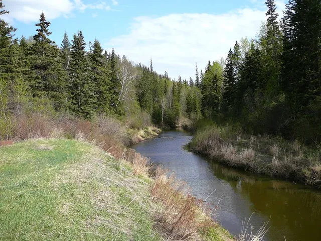 Whitemud Creek