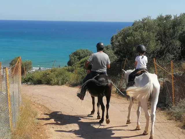 Amarillis Stable | Ιππασία - Εκδρομές με άλογα