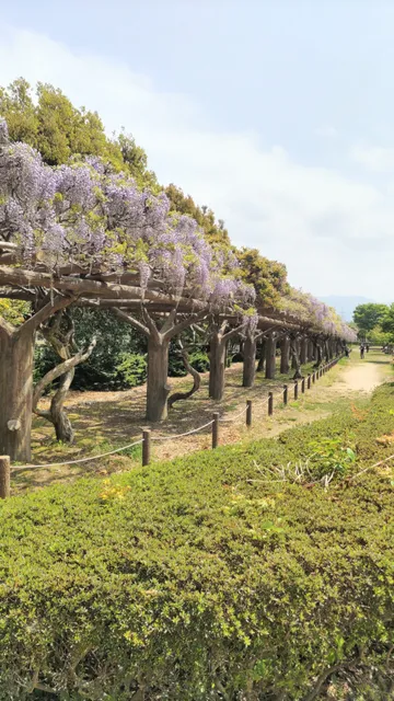 Sun Sportsland Mattō