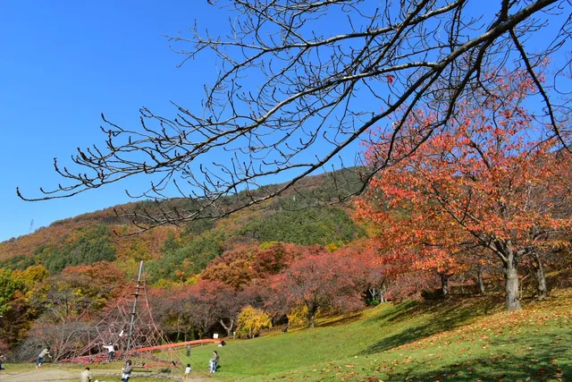 Togurajuku Kitty Park