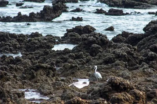 Kadalundi Nagaram Beach
