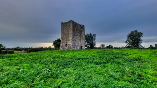 Donore Castle Ruins