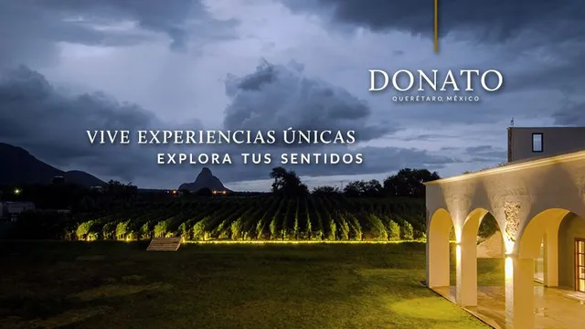 Viñedos Donato