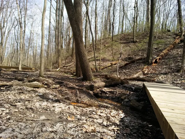 City of Sidney, Ohio Tawawa Park