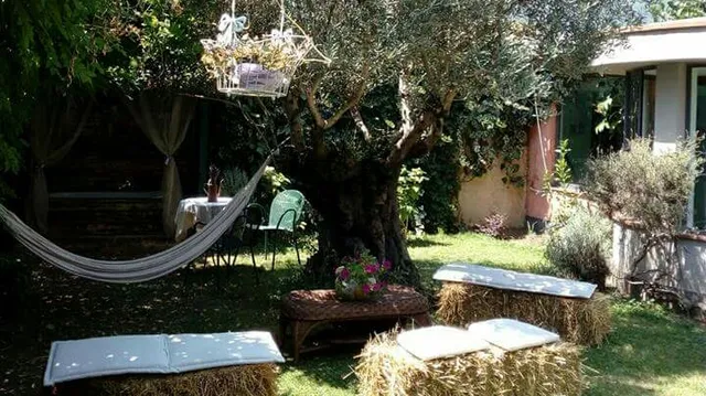 B e B Lavanda e Merletti Maison de Charme Università Salerno